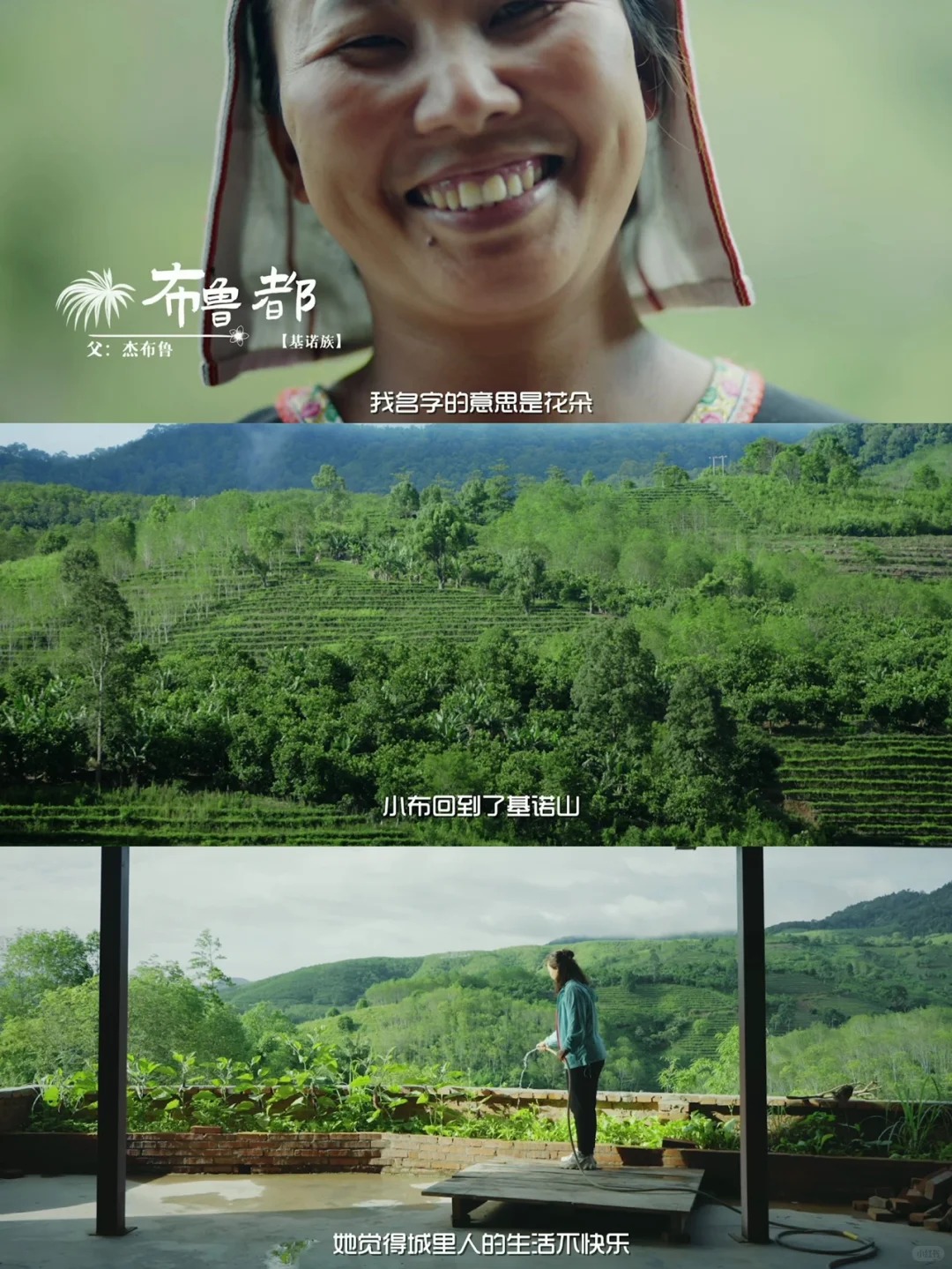 纪录片《雨林之子》云的彼端，国之南境。_3_闪闪发光赵美好_西双版纳-森林-来自52tours 我爱旅游网